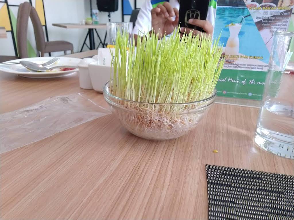 Patra Dumai Hotel thumbnail 58