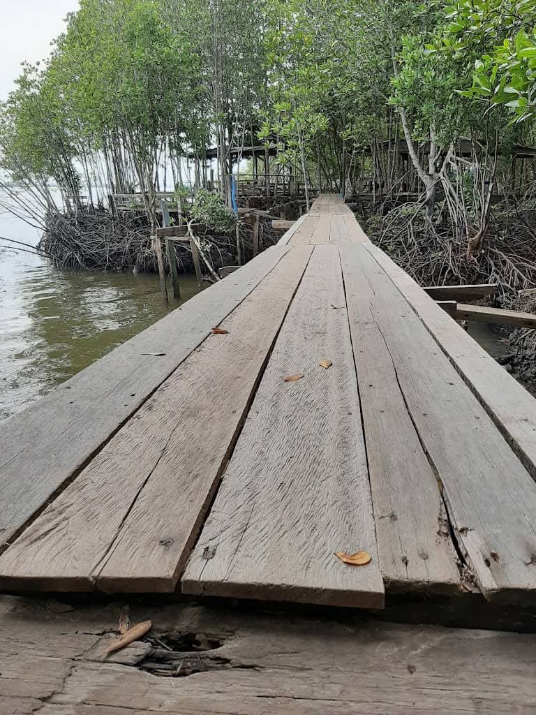 Bandar Bakau Dumai thumbnail 20