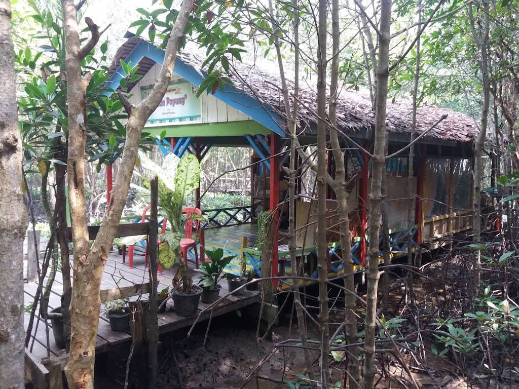 Bandar Bakau Dumai thumbnail 25