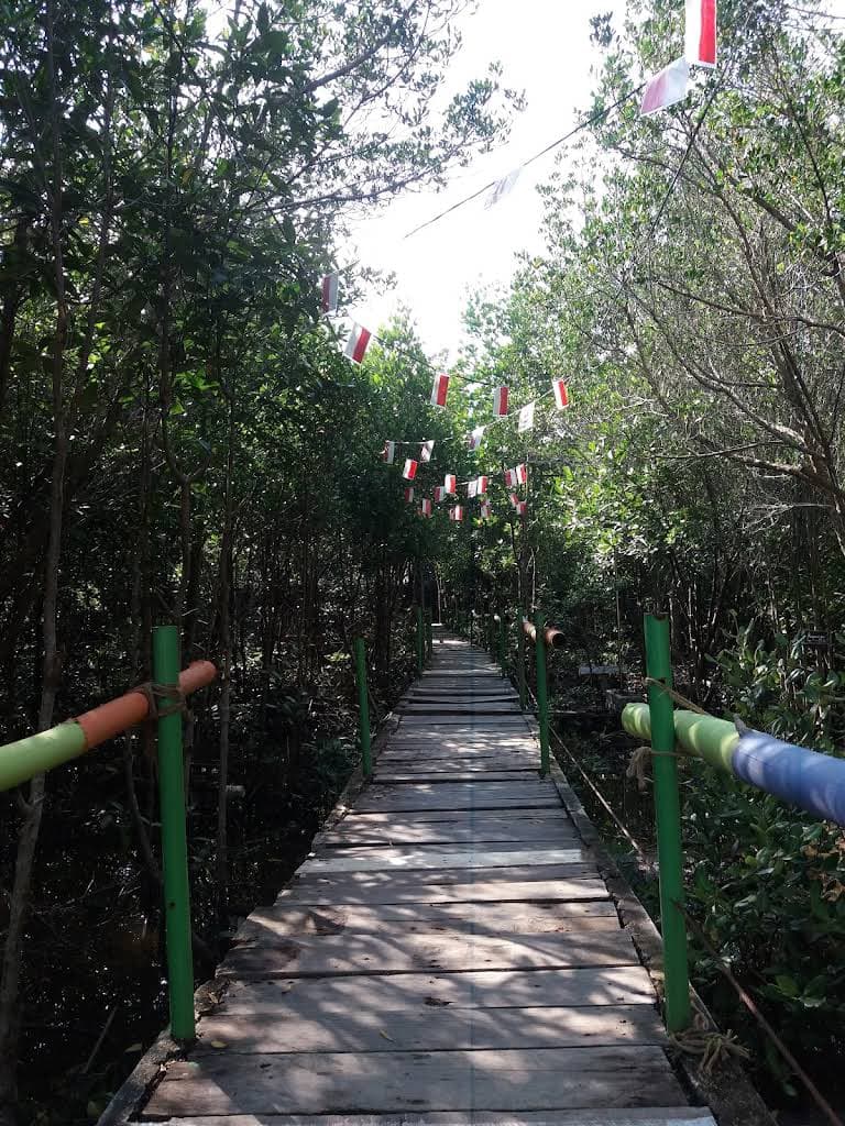 Bandar Bakau Dumai thumbnail 27