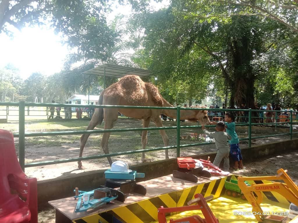 Dumai Ecopark thumbnail 2